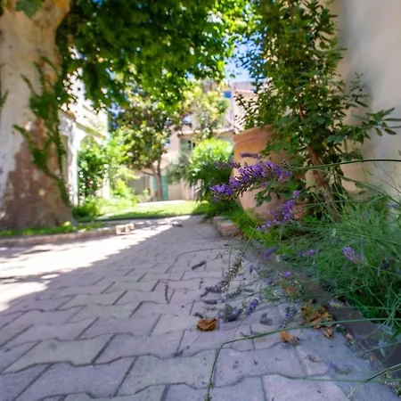 Oasis Secrete 6 Personnes Avignon
